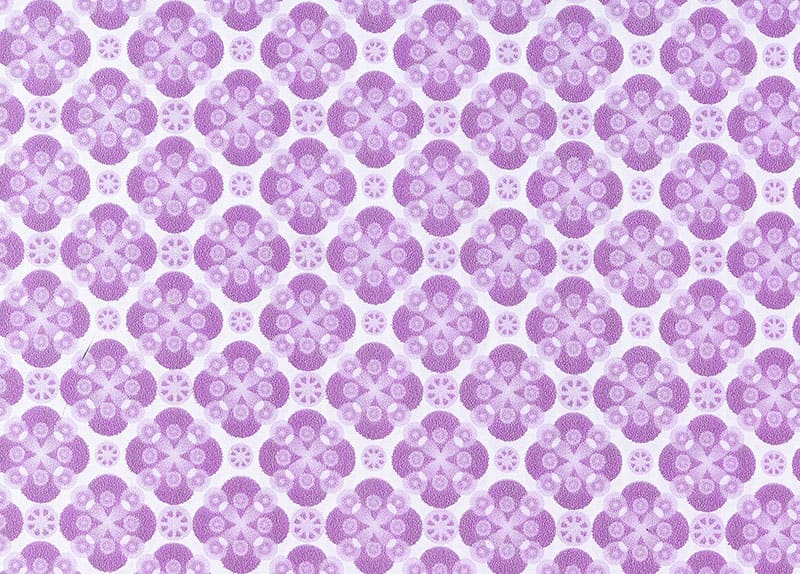 Bobina PPGI stampata con fiori geometrici viola TNF016YP